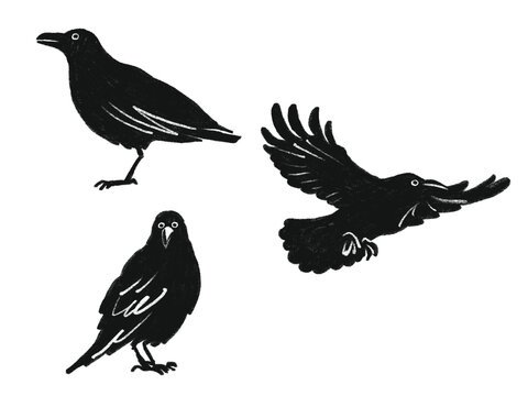 手描き風のカラスのイラスト 3点セット