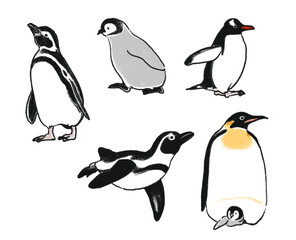 手描き風のペンギンのイラスト 5点セット