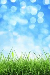 Fototapeta premium Lush green grass against a bright blue sky with bokeh lights