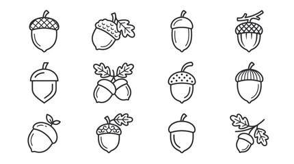 Set of Acorn Icons: Oak Nuts and Leaves, Simple Line Art Vector Illustrations © Maman