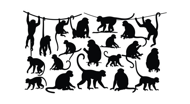 Group of monkey silhouettes hanging and climbing on branches and ropes.