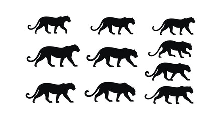 Obraz premium Set of walking panther and leopard silhouettes for wildlife and predator design.