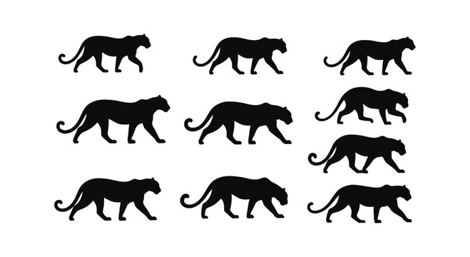 Set of walking panther and leopard silhouettes for wildlife and predator design.