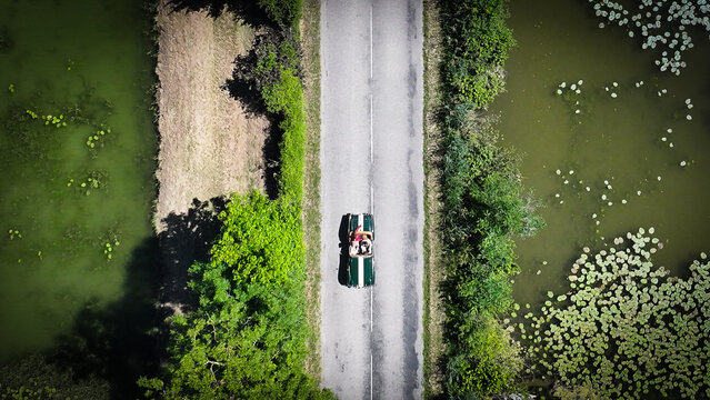 Succieu, France - 13 June 2026: Aerial view of a vintage green convertible car with two people driving on a narrow road between two ponds with water lilies and green vegetation.