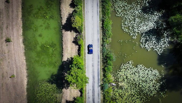 Succieu, France - 13 June 2026: Aerial view of two people in a blue vintage car driving on a straight road between ponds with lily pads and green algae in the countryside.
