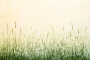 Fototapeta premium Serene field of tall grasses