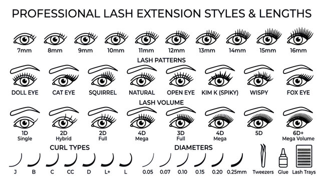 Professional eyelash extension styles and lengths infographic guide