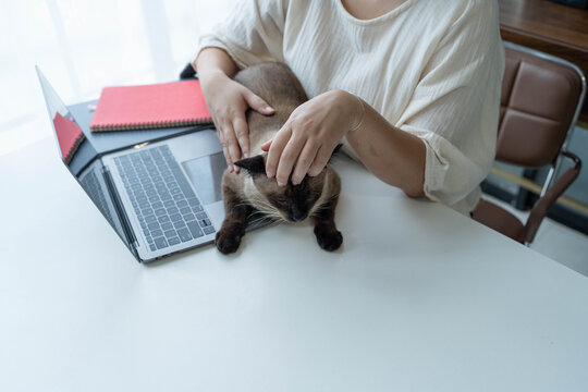 Asian Woman Caring for and Loving Her Cat at Home