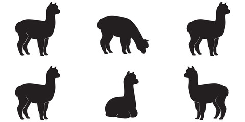 Alpaca Vector Set in Different Poses Isolated Farm Animal Silhouette Collection © maxsabbir07