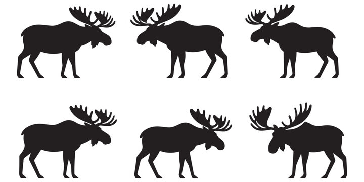 Moose Vector Set in Different Poses Isolated Wildlife Animal Silhouette Collection
