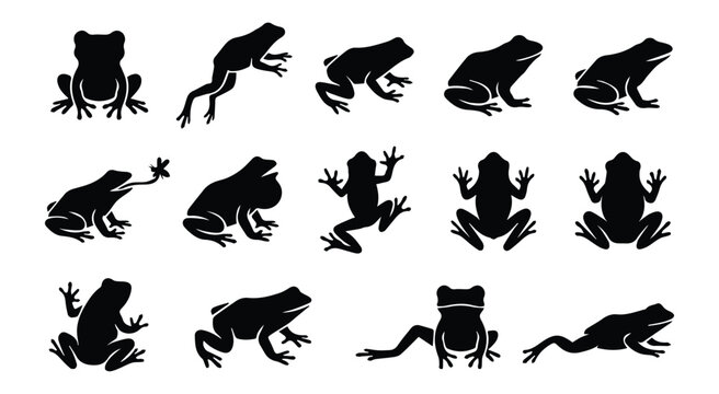 Frog poses set icon Silhouette Vector black design on a white background