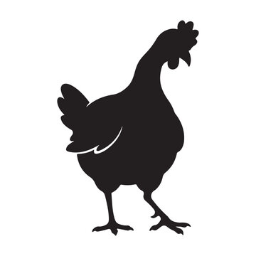 Black silhouette of a hen standing on the ground