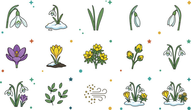 Spring Flower Illustration Set with Snowdrops, Crocus, Daffodils, Early Blooming Garden Plants, and Seasonal Botanical Elements