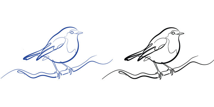European robin line art duo blue and black sketches on white background