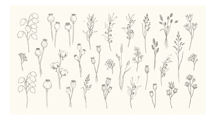 Obraz premium Minimalist hand drawn botanical line art collection, elegant floral sketch vector set, delicate wildflower and poppy pod illustrations for wedding stationery
