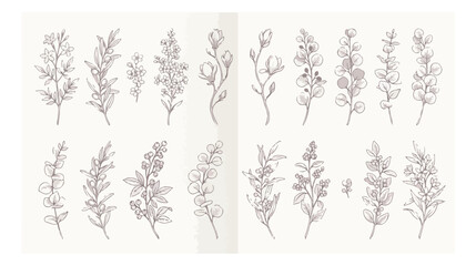 Minimalist botanical line art collection, hand drawn floral branches and eucalyptus leaves vector set, elegant organic plant sketches for wedding stationery © Ahmad