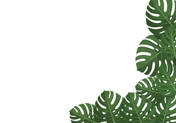 Tropical Monstera Leaves Corner Border on White Background with Copy Space © VERA