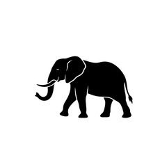 Fototapeta premium Silhouette of an elephant walking