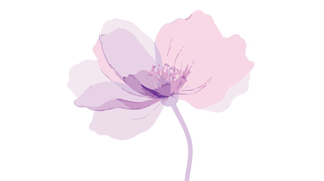 Delicate watercolor illustration of a blooming pink and purple flower with transparent petals