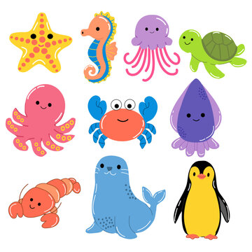 Sea animal illustration 