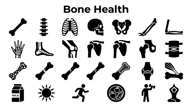 Bone health and skeletal system icons representing strength wellness and medical care with elements like bones spine joints and healthy lifestyle choices