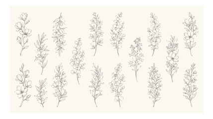 Minimalist botanical line art collection, 16 hand drawn floral branch vectors, elegant wildflower sketches for wedding invitations and branding © GEO
