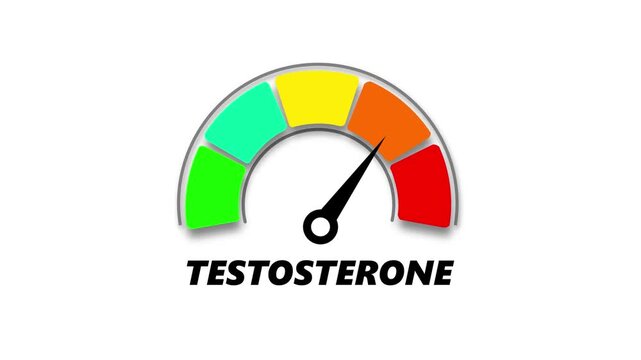 testosterones level, ranging from safe low to critical high, indicator changes through green, yellow, and red levels on dashboard.