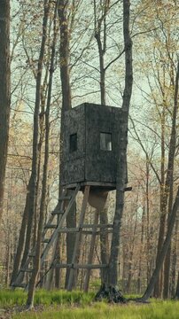 Elevated wooden deer hunting box blind with ladder access standing among bare late-autumn deciduous trees in Wisconsin forest, USA