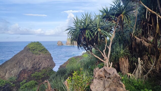beautiful beach landscape in Gunungkidul Yogyakarta