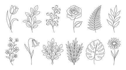Fototapeta premium Botanical floral decorative elements set, minimalist line style, roses, daisies, ferns, tropical leaves, berries, and stems