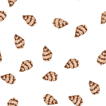 pattern summer sea shell cartoon. summer sea shell sign vector