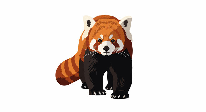 A cute red panda standing on all fours