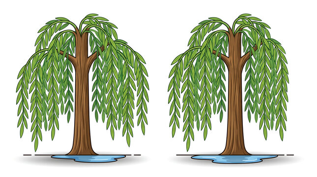 Bright, playful vector illustration of two stylized willow tree scenes placed side by side on a plain white background, each showing a tall trunk with cascading weeping branches and trailing leaves