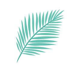 Palm leaf flat styled illustration on transparent background  © vicaas
