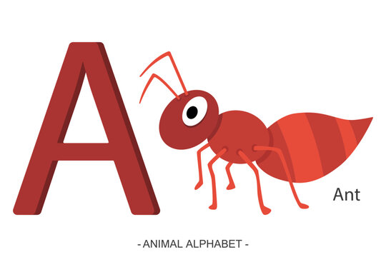 Cute cartoon red ant with letter A for animal alphabet vector illustration