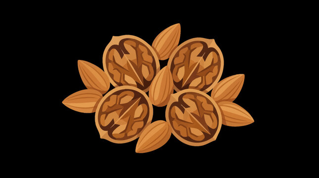 vector illustration of walnuts and walnut halves on black background