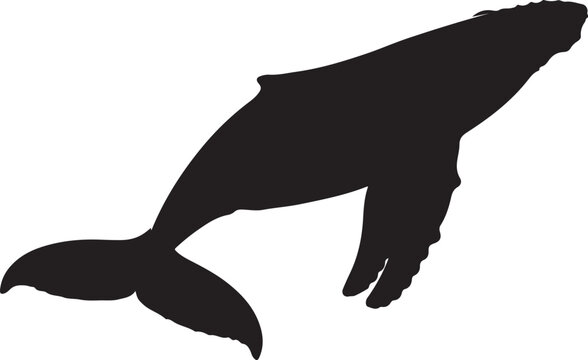 Black whale silhouette, ocean mammal icon, sea creature, vector graphic