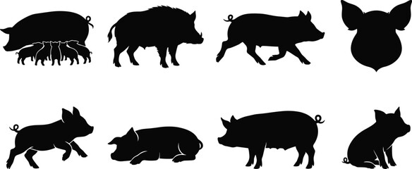 Pig and wild boar vector silhouettes set including sow with piglets, running domestic hogs, and animal head icon © Khadija