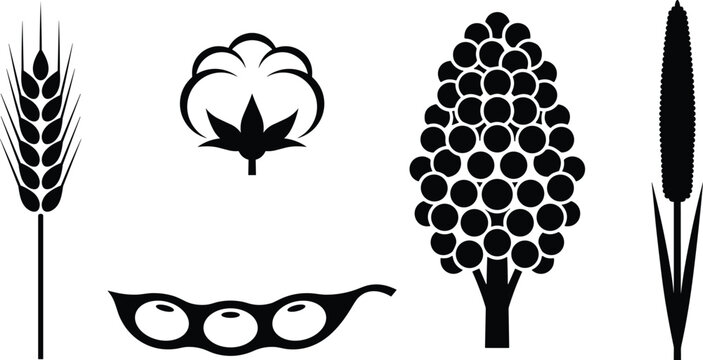 Black silhouette agriculture icons featuring wheat stalk, cotton boll, soybean pod, sorghum cluster, and cattail plant symbolizing farming, crops, 