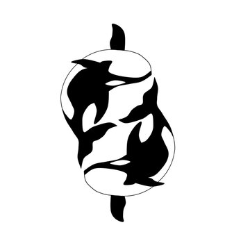 Silhouete black and white orca killer, paus 