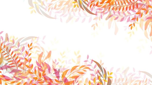 Vibrant Autumn Foliage Frame 4K