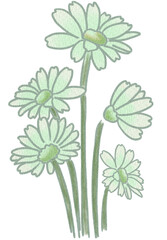 Obraz premium Flower