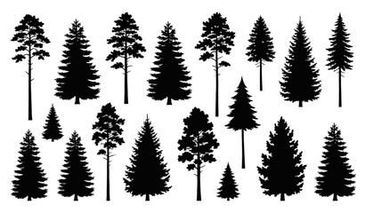 Fototapeta premium Evergreen Forest Tree Silhouette Set