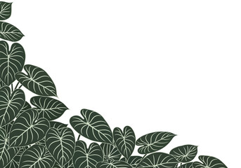 Tropical Dark Green Leaf Border Frame on White Background © Buj