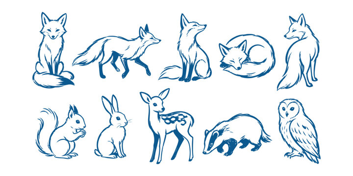 forest animals and wild woodland creatures doodle icon set with fox squirrel rabbit deer badger and owl vector illustration