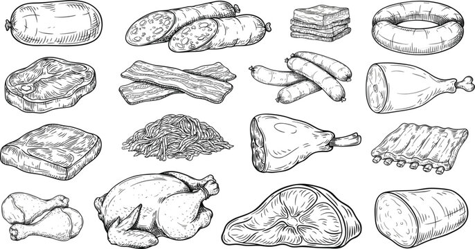 Hand Drawn Meat Products and Sausages Sketch Vector Set with Beef, Pork, Chicken, and Ham Icons for Butchery Menu Food Packaging Design