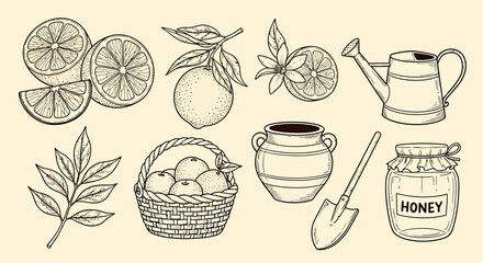 Hand drawn set collection of honey production elements including fruits and tools © Crushin
