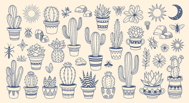 A hand drawn set collection of various potted cacti and succulents with plants and celestial elements