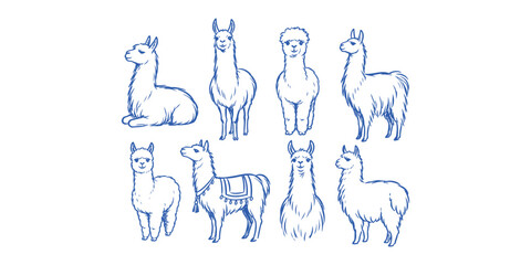 Fototapeta premium llama and alpaca animals doodle icon set with funny woolly guanaco cartoon characters vector illustration