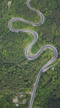 Aerial view of winding asphalt mountain road among green trees in summer. (Domani&ccedil;,İneg&ouml;l dağ yolu)
